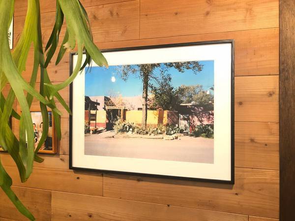 何気ない日常をフィルムカメラに。写真館＆動物園でファミリーフォト撮影