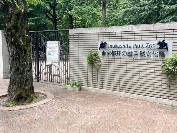 何気ない日常をフィルムカメラに。写真館＆動物園でファミリーフォト撮影