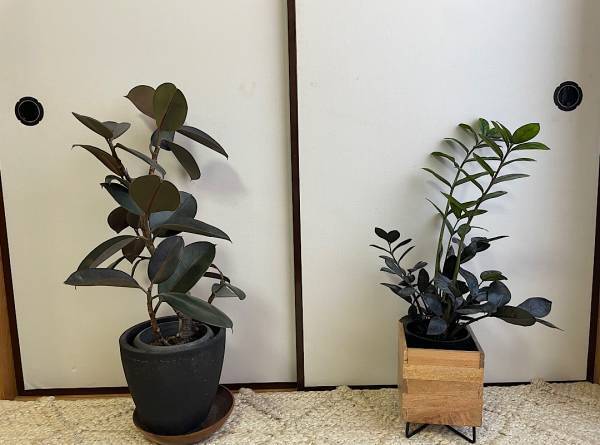 3歳誕生日パーティー！フォトスペースに使えるおすすめアイテム。