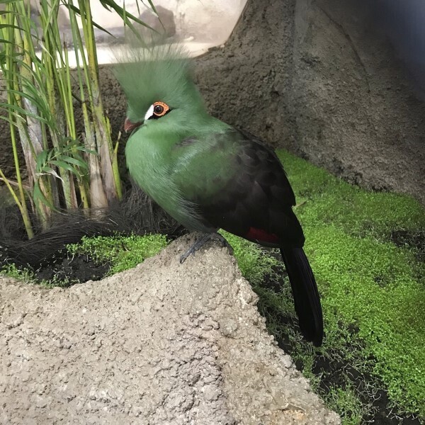 家族で楽しめる那須のおでかけスポット！動物との距離が近い動物園♡