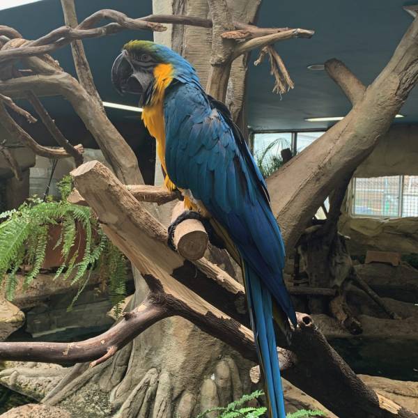 家族で楽しめる那須のおでかけスポット！動物との距離が近い動物園♡