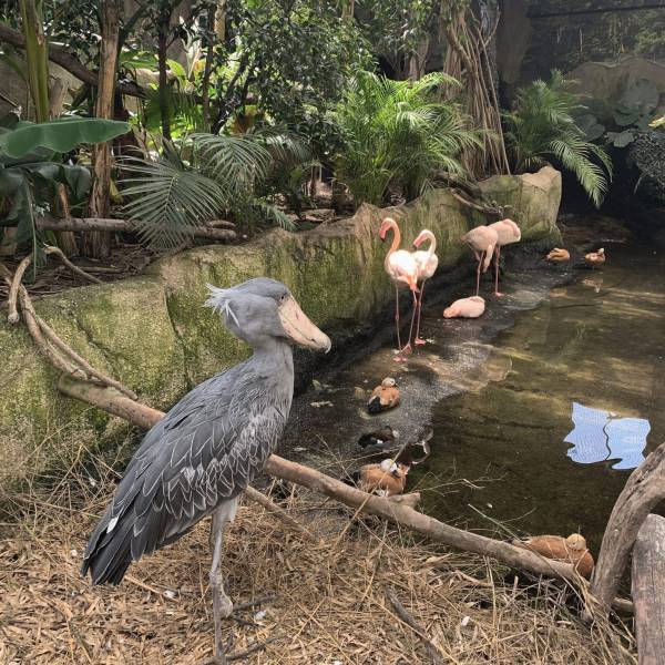 家族で楽しめる那須のおでかけスポット！動物との距離が近い動物園♡