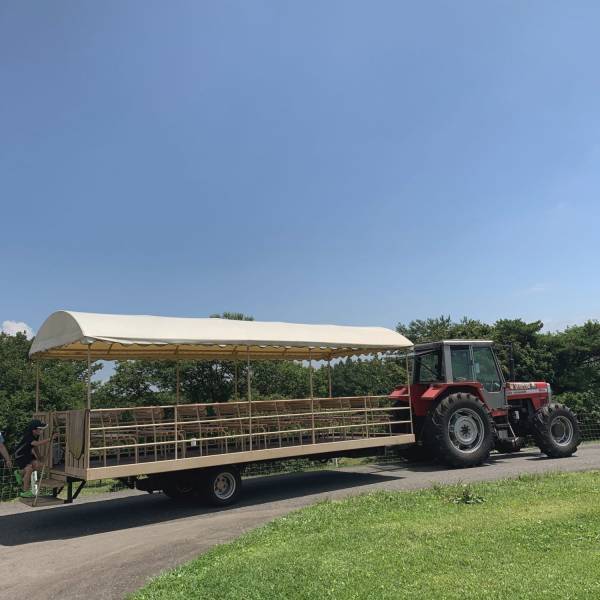 家族で楽しめる那須のおでかけスポット！動物との距離が近い動物園♡