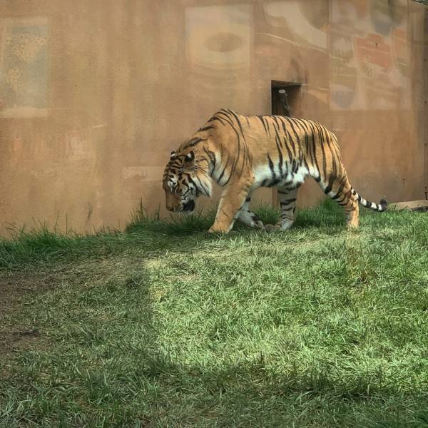 家族で楽しめる那須のおでかけスポット！動物との距離が近い動物園♡