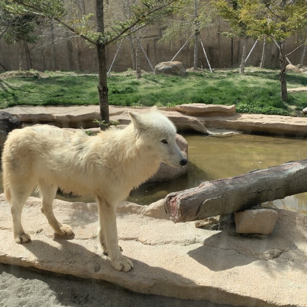 家族で楽しめる那須のおでかけスポット！動物との距離が近い動物園♡