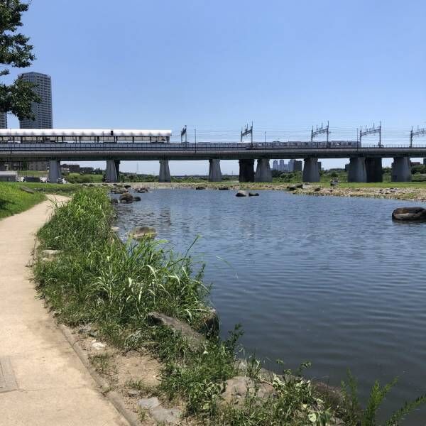 夏休みにピッタリ！駅から徒歩圏内。都内にある水遊びで賑わう公園をご紹介