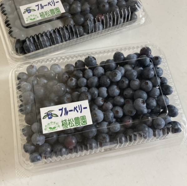 都内で子供とブルーベリー摘み体験&amp;ブルーベリーを使った簡単スイーツレシピ