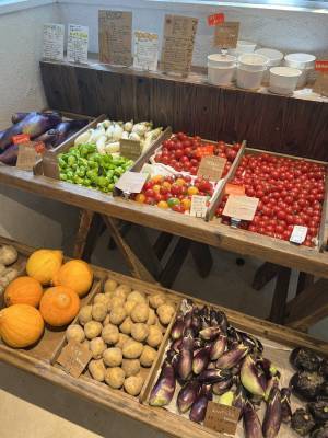 美味しいアイスクリームを食べにいこう！ミコト屋KIKIのクラフトアイスクリーム