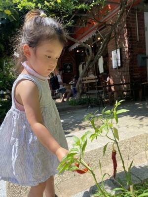美味しいアイスクリームを食べにいこう！ミコト屋KIKIのクラフトアイスクリーム