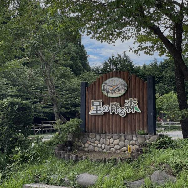 初心者におすすめ！群馬県「星の降る森」でのんびり子連れキャンプ 