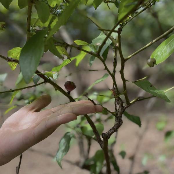 群馬に行ったら立ち寄りたい！大人も子供も楽しめるお出かけスポット