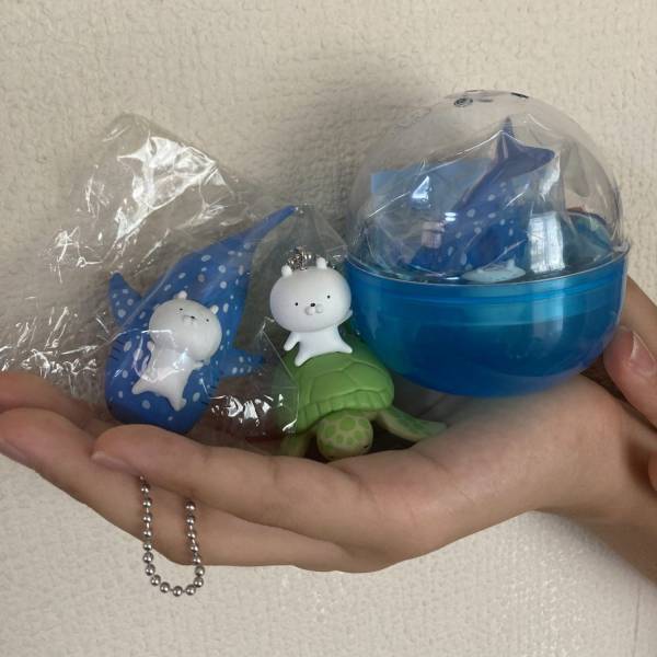 沖縄と言えば「ちゅら海水族館」