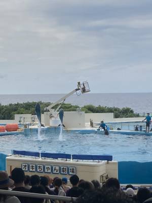 沖縄と言えば「ちゅら海水族館」