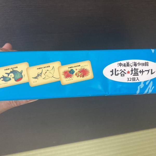 沖縄と言えば「ちゅら海水族館」