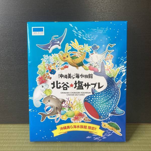 沖縄と言えば「ちゅら海水族館」