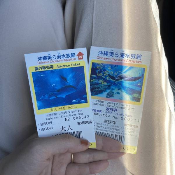 沖縄と言えば「ちゅら海水族館」