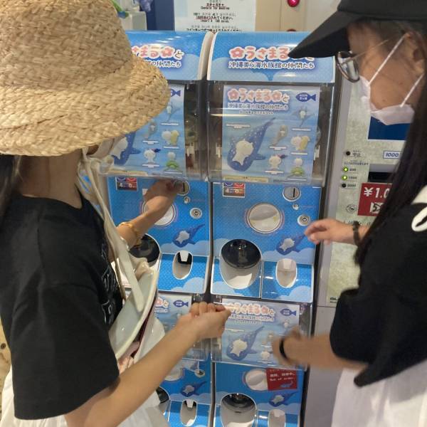 沖縄と言えば「ちゅら海水族館」