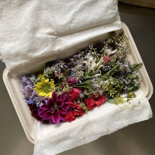 お誕生日や記念日におすすめ！エディブルフラワーでつくる手作りケーキ！！