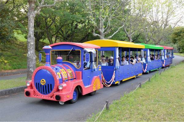 写真映えばっちり！ 9～11月が見頃な、関東の絶景お花畑スポット8選