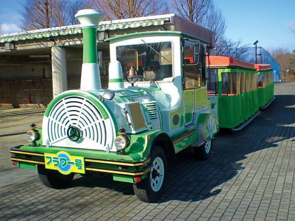 写真映えばっちり！ 9～11月が見頃な、関東の絶景お花畑スポット8選