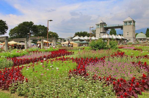 写真映えばっちり！ 9～11月が見頃な、関東の絶景お花畑スポット8選