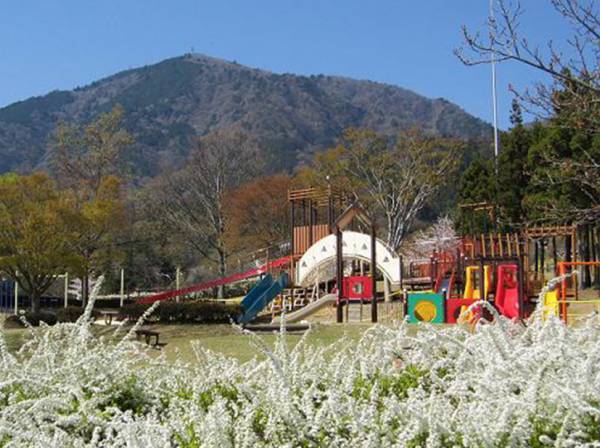 写真映えばっちり！ 9～11月が見頃な、関東の絶景お花畑スポット8選