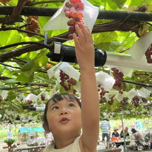地元民おすすめ！1日遊べる子連れお出かけスポット「柴久園」