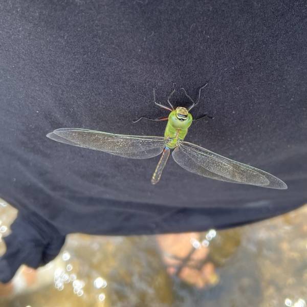 地元民おすすめ！1日遊べる子連れお出かけスポット「柴久園」