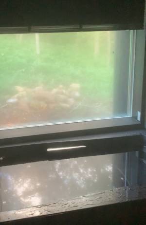 子連れで今話題の那須スポット巡り♪一棟貸しのデザイナーズハウスで大人も子供も楽しむ旅に！！