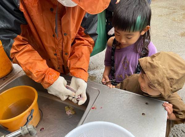 未就学児無料！時間無制限！減農薬のぶどう狩り《ツチと実 in山梨》