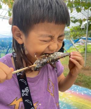 未就学児無料！時間無制限！減農薬のぶどう狩り《ツチと実 in山梨》