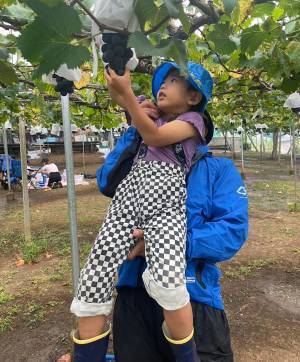 未就学児無料！時間無制限！減農薬のぶどう狩り《ツチと実 in山梨》