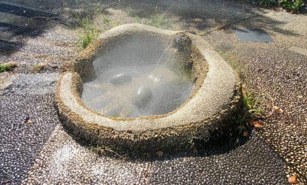 子連れにおすすめの遊び場！１日中遊べる『国営昭和記念公園』