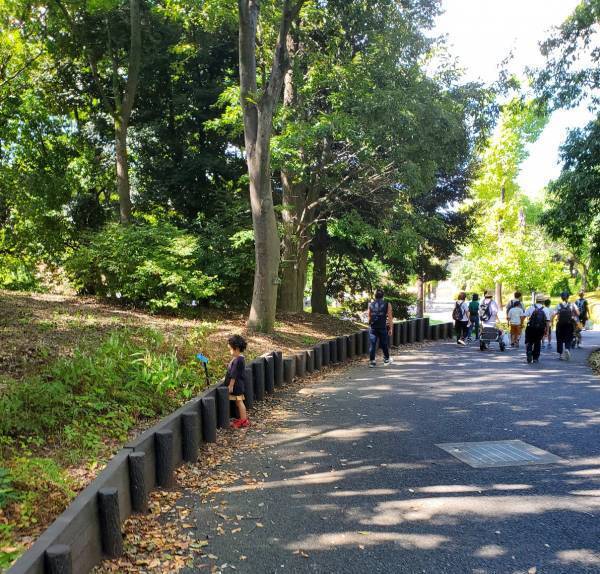 子連れにおすすめの遊び場！１日中遊べる『国営昭和記念公園』