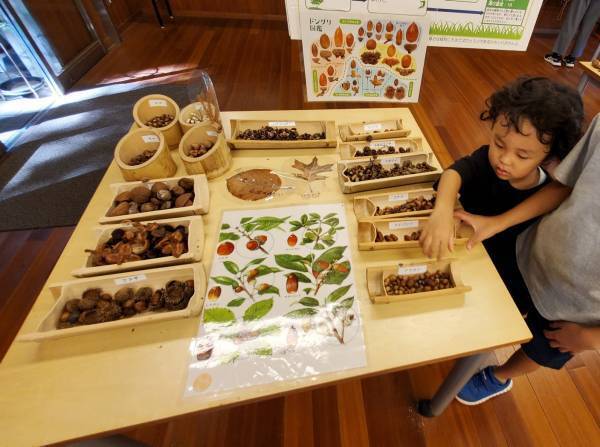 子連れにおすすめの遊び場！１日中遊べる『国営昭和記念公園』