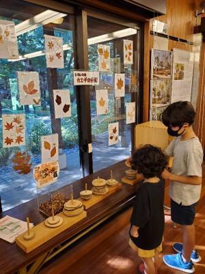 子連れにおすすめの遊び場！１日中遊べる『国営昭和記念公園』