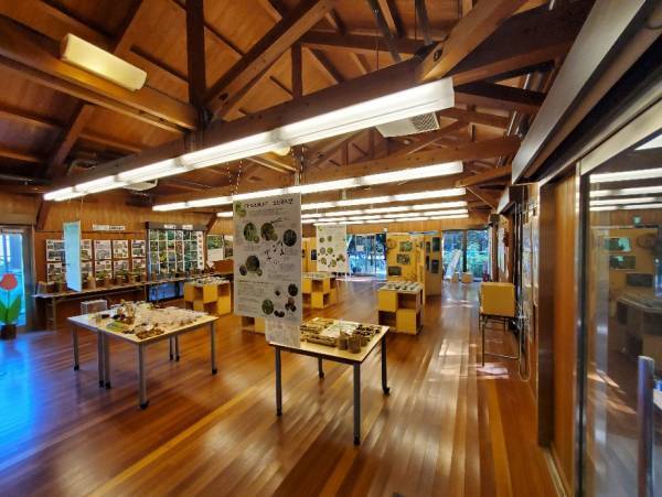 子連れにおすすめの遊び場！１日中遊べる『国営昭和記念公園』