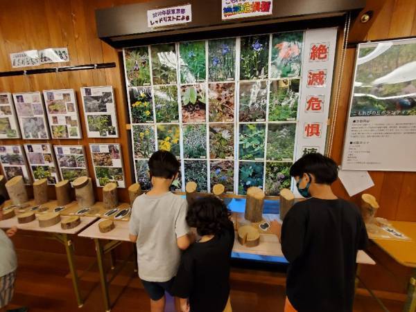 子連れにおすすめの遊び場！１日中遊べる『国営昭和記念公園』