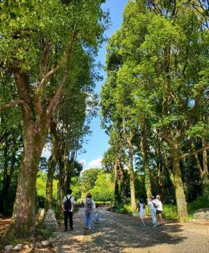 子連れにおすすめの遊び場！１日中遊べる『国営昭和記念公園』