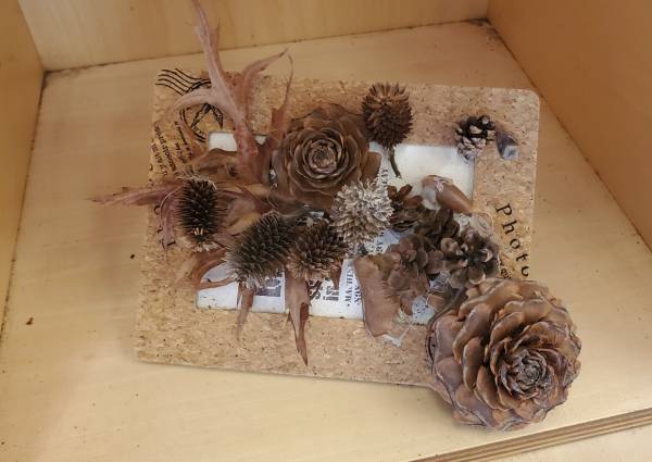 子連れにおすすめの遊び場！１日中遊べる『国営昭和記念公園』