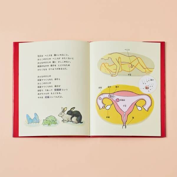 【性教育がテーマの絵本8選】「赤ちゃんってどうやってできるの？ 」と聞かれたら読んであげよう！