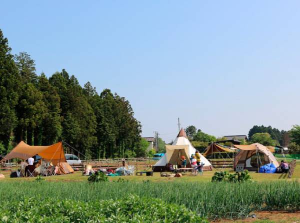キャンパーイチオシ！ 子連れで楽しい、おすすめキャンプ場