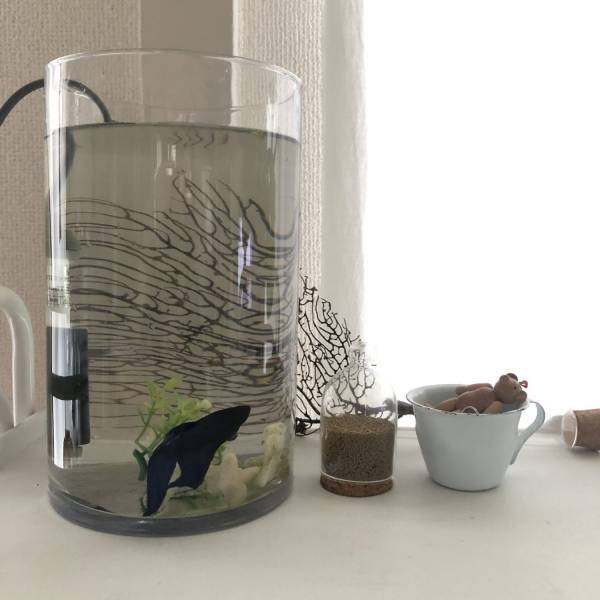 100均に見えない！ダイソーで見つけた高見えインテリア雑貨 | HugMug