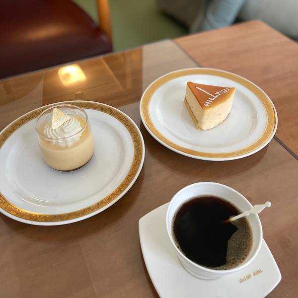 【都内】子連れステイケーションにおすすめのホテルとは？検索方法と過ごし方 | HugMug