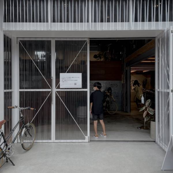 【都内】おしゃれな観葉植物が買えるお店！〜初心者向けから大型サイズまで〜 | HugMug