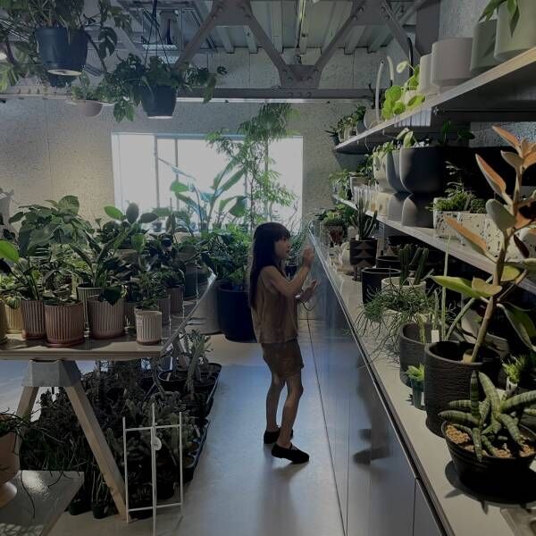 【都内】おしゃれな観葉植物が買えるお店！〜初心者向けから大型サイズまで〜 | HugMug