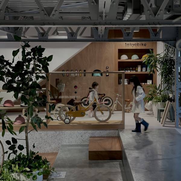 【都内】おしゃれな観葉植物が買えるお店！〜初心者向けから大型サイズまで〜 | HugMug