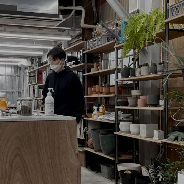 【都内】おしゃれな観葉植物が買えるお店！〜初心者向けから大型サイズまで〜 | HugMug