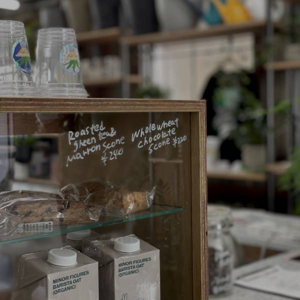 【都内】おしゃれな観葉植物が買えるお店！〜初心者向けから大型サイズまで〜 | HugMug