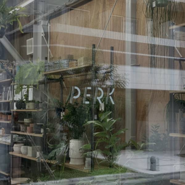 【都内】おしゃれな観葉植物が買えるお店！〜初心者向けから大型サイズまで〜 | HugMug